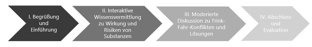 Grafik zum Ablauf des Alkoholpräventionsprogramms "Peers an Fahrschulen" der Villa Schöpflin