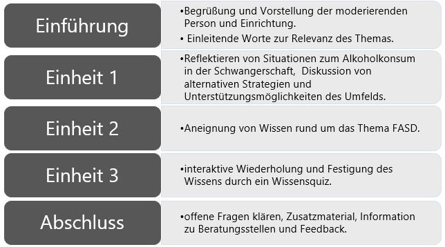 Grafik zur Beschreibung des Alkoholpräventionsworkshops zum Thema FASD der Villa Schöpflin